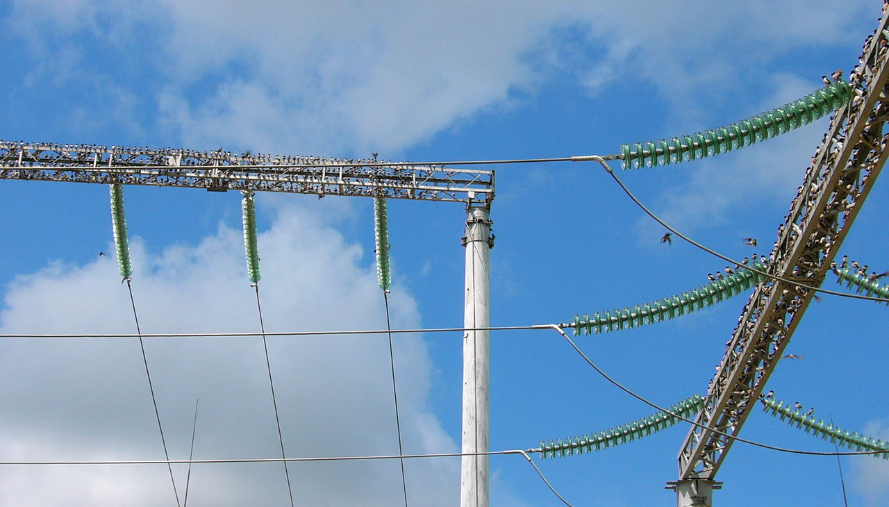 Elektrik paylayıcı şəbəklərin ...